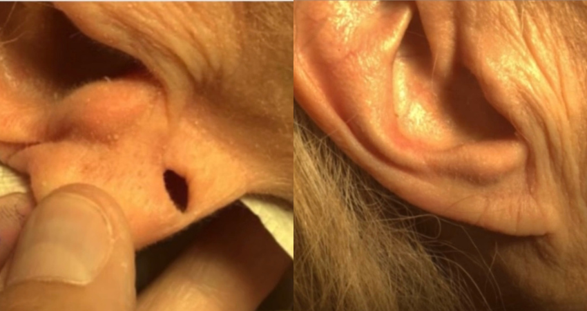 Untitled design (19)